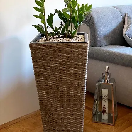 Afrika Διαμέρισμα